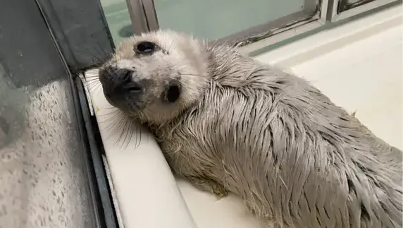 Blog_WeSeeDoetje_416x278.original