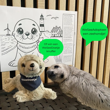 WeSeeDo_WeSeeDoetje_zeehondje_kleurplaat.original