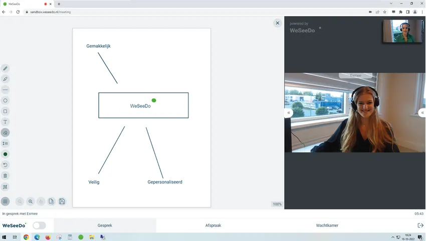Screenshot van het whiteboard tijdens het WeSeeDo gesprek, met dame ernaast